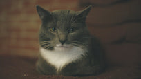 GM - Test Construcción Lorem Ipsum is simply dummy text